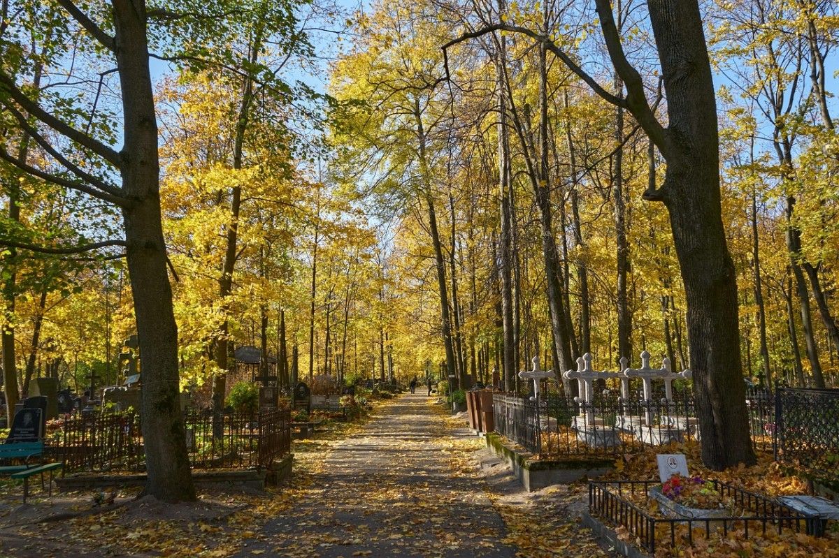 кладбищесанкт-петербург