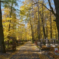 кладбищесанкт-петербург
